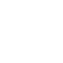 Zaasmi logo mark